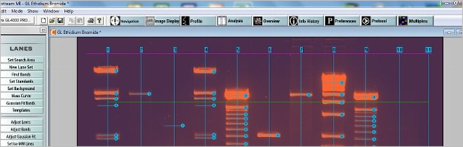 molecular imaging software